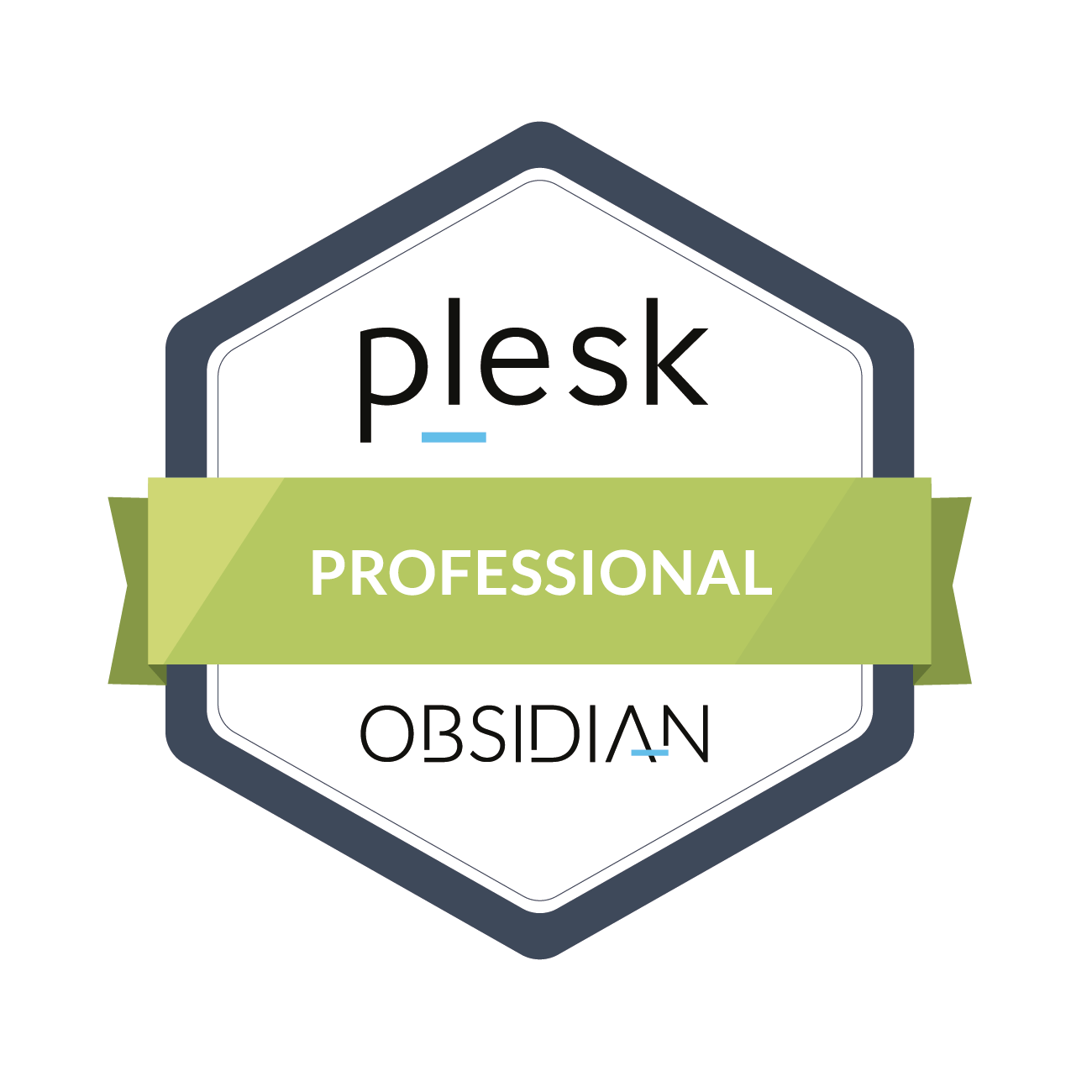 Plesk Professional