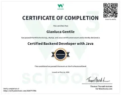 Backend Developer Java