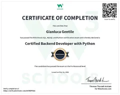 Backend Developer Python