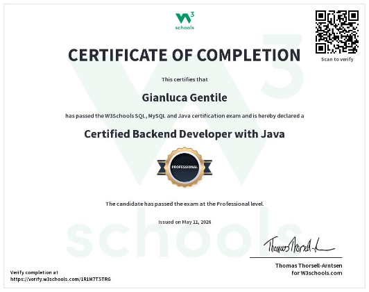 Backend Developer Java