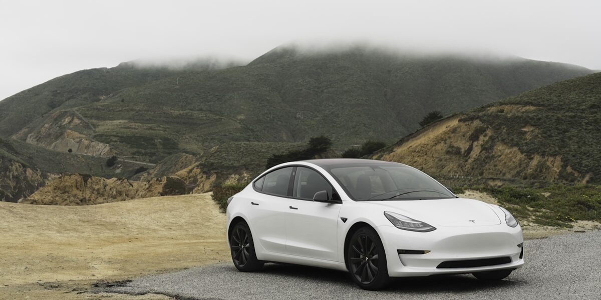 Tesla Model 3 auto elettrica