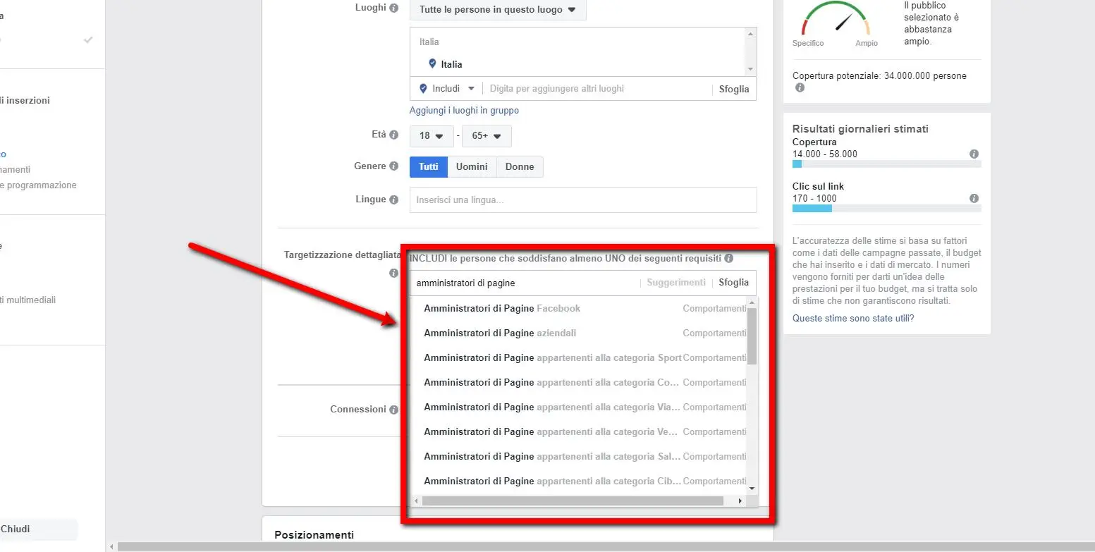 opzioni targeting professionale facebook,opzioni targeting,opzioni targeting professionale