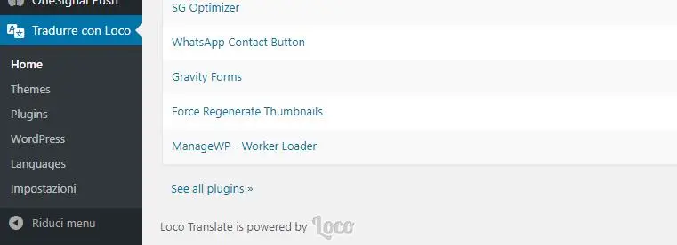 loco translate plugin tradurre,loco translate,loco translate plugin