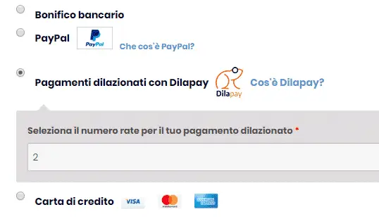 Dilapay come funziona, dilapay recensioni, cos'è dilapay, negozi convenzionati dilapay