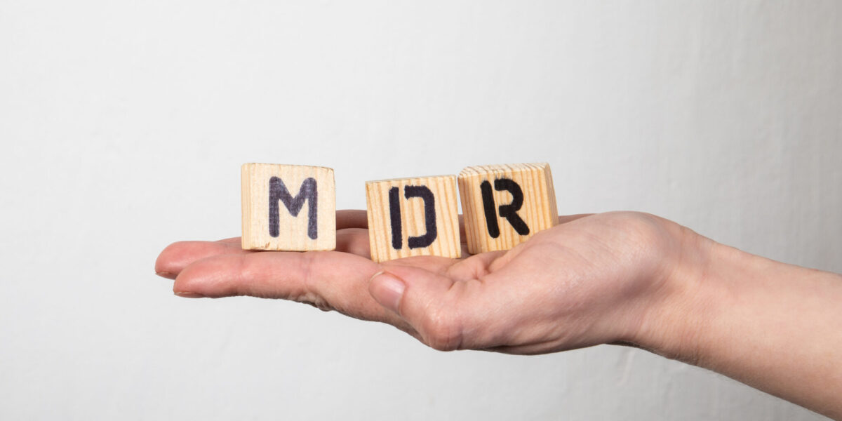 Mano con blocchi di legno lettere MDR