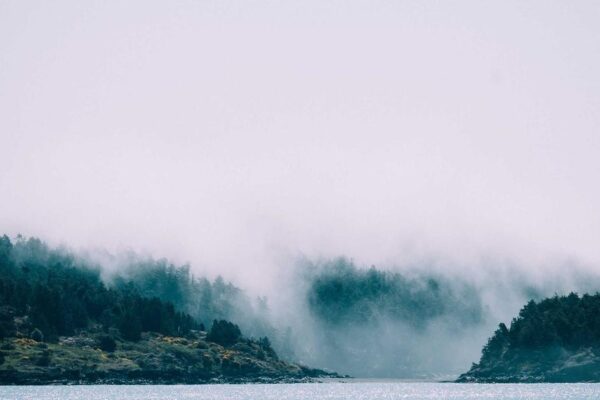 Immagine in evidenza per l'articolo: Come Utilizzare Linkedin Ads: Visibilità Per Il Tuo Business